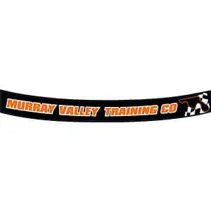 Helmet Visor Stickers